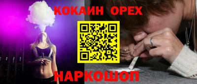 гашик Новозыбков