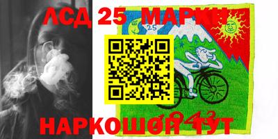 гашик Новозыбков