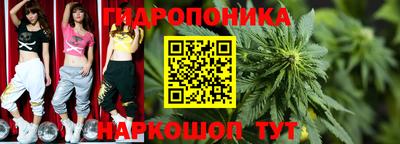 индика Наро-Фоминск