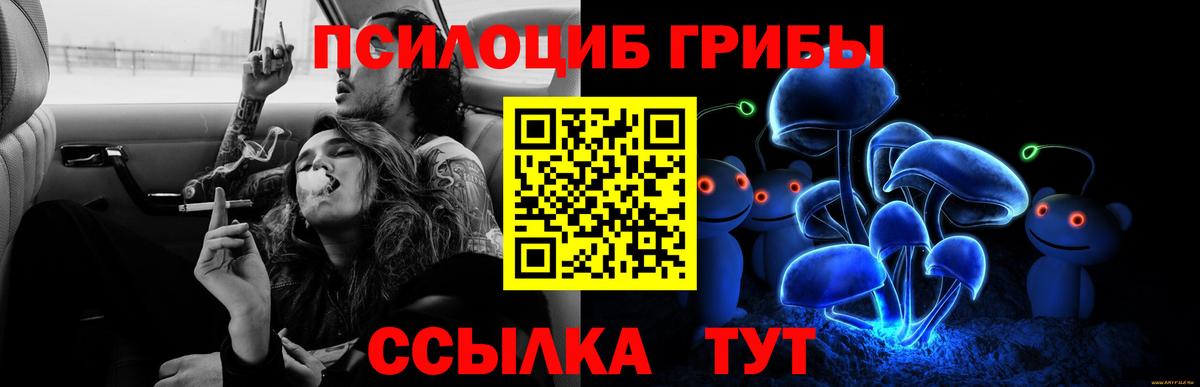 цены наркотик  Псилоцибиновые грибы ЛСД  Вход с VPN  Строитель 